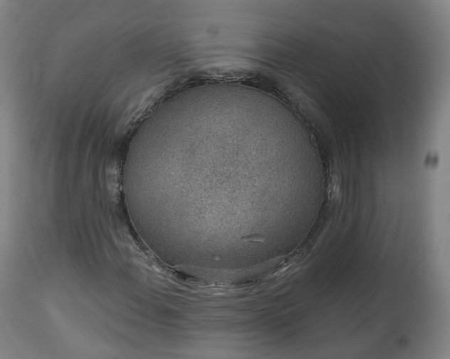 X0000112521108200908241437