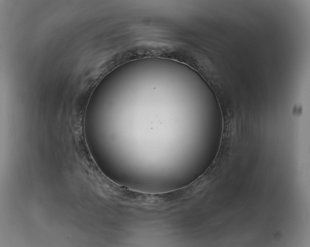 X0000112521109200908241437