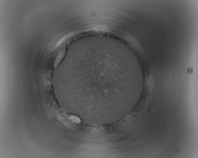 X0000112521110200908241437