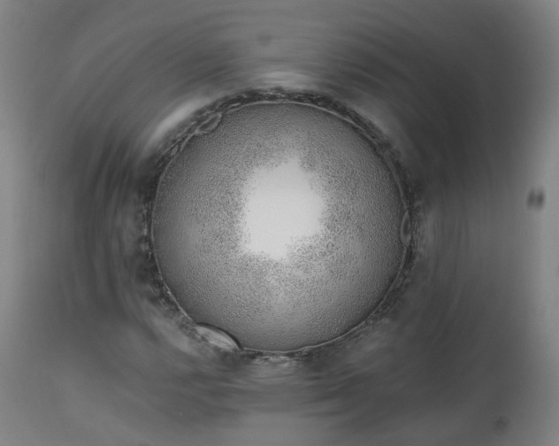 X0000112521112200908241437
