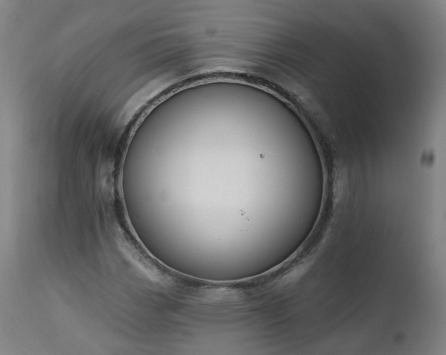 X0000112521113200908241438