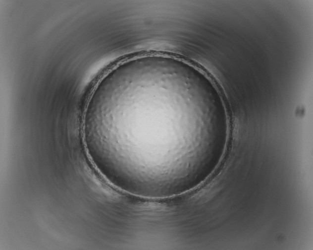 X0000112521115200908241438