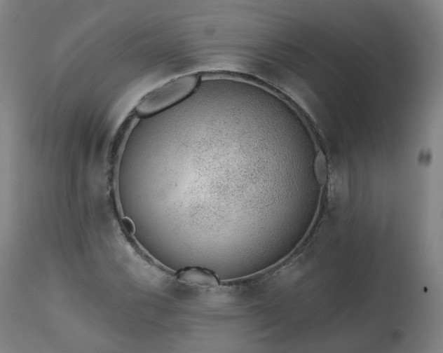 X0000112521116200908241438