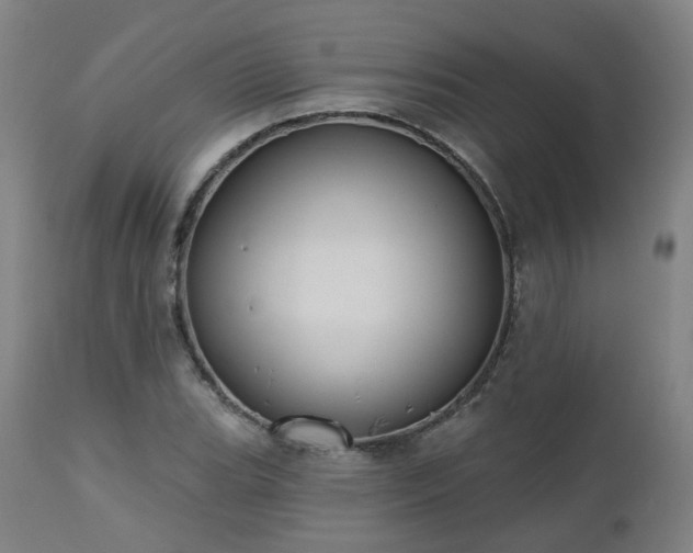 X0000112521119200908241438