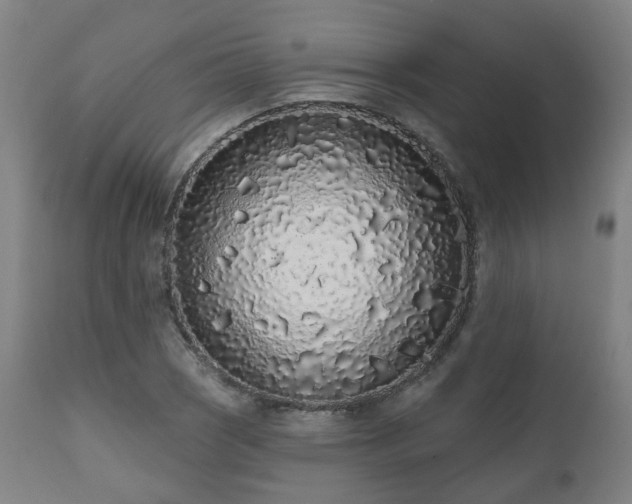 X0000112521121200908241438