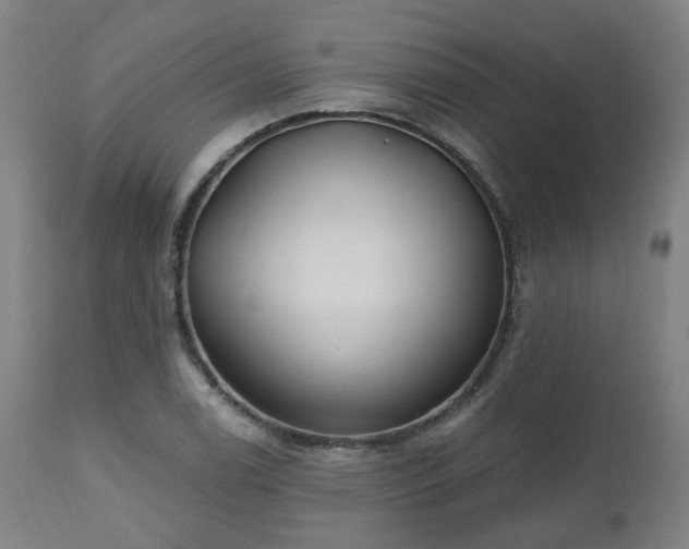 X0000112521122200908241438