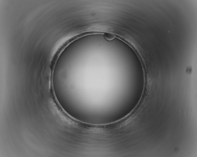 X0000112521123200908241438