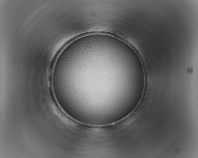 X0000112521124200908241438