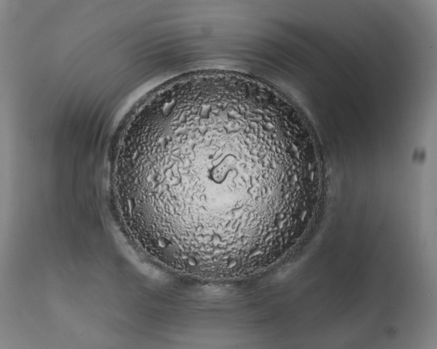 X0000112521125200908241438