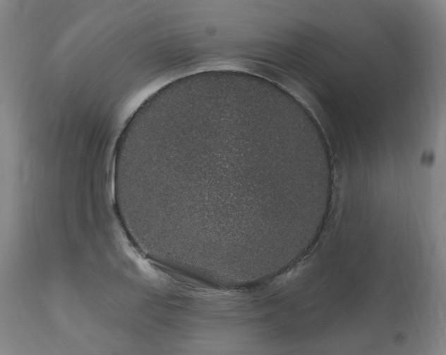 X0000112521127200908241438