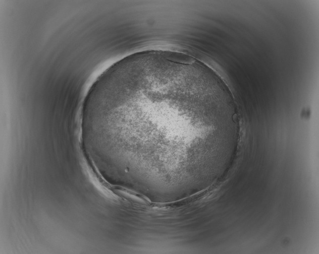 X0000112521128200908241438