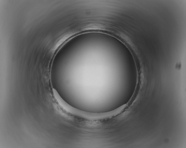 X0000112521129200908241438