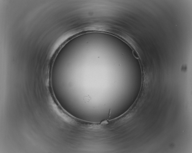 X0000112521131200908241438