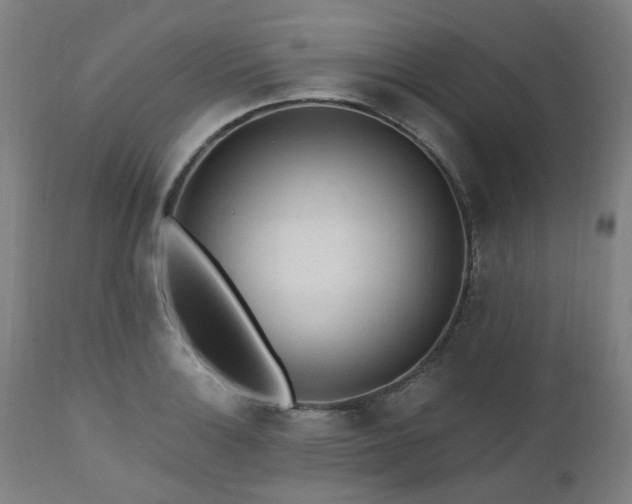 X0000112521132200908241438