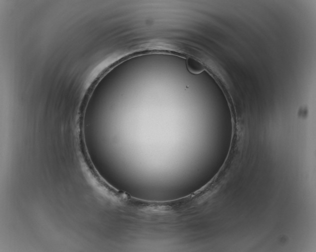 X0000112521133200908241438