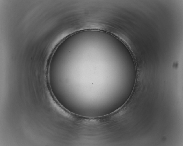 X0000112521135200908241438