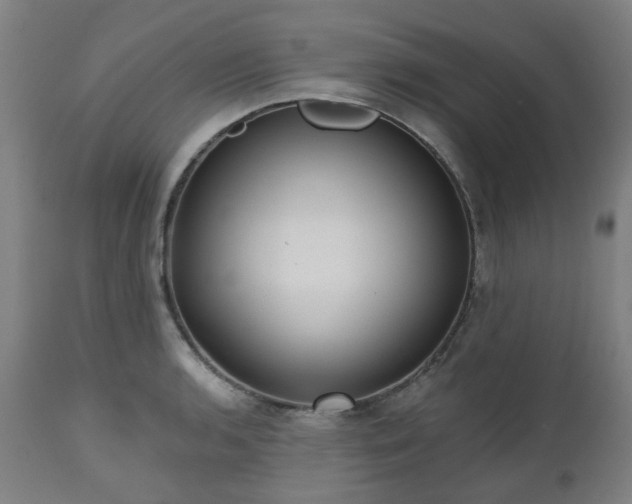 X0000112521136200908241438