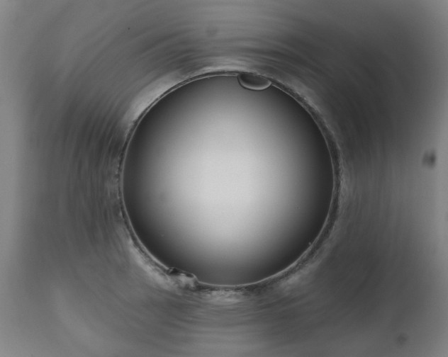 X0000112521137200908241438