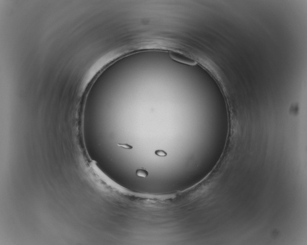 X0000112521138200908241438