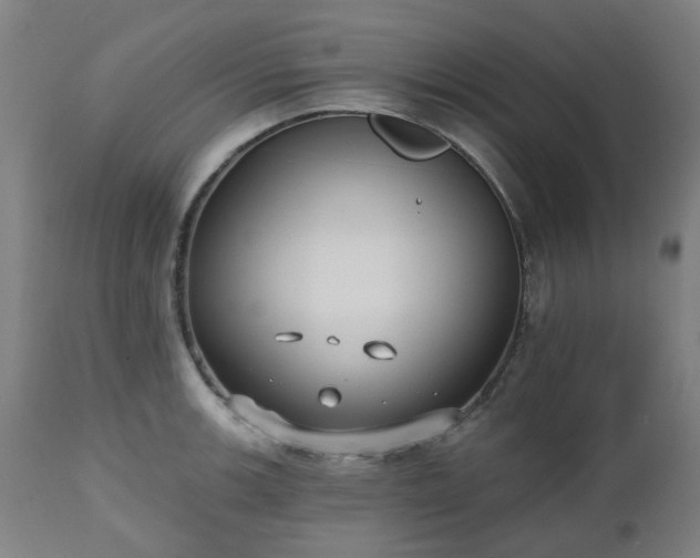 X0000112521139200908241438