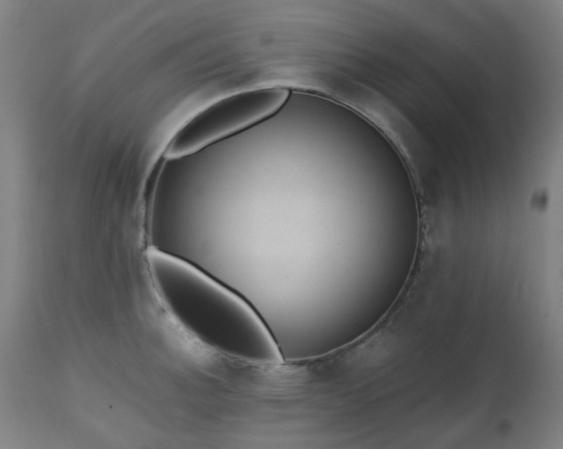 X0000112521140200908241438