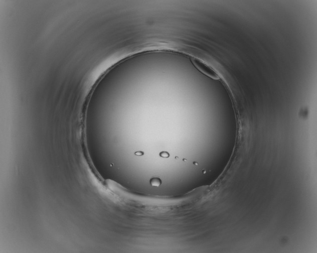 X0000112521143200908241438