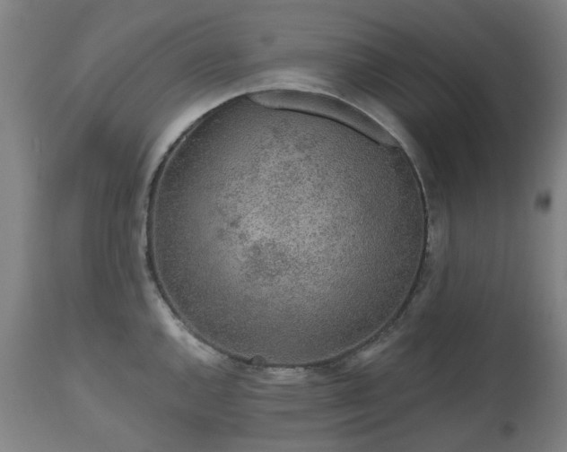 X0000112521144200908241438