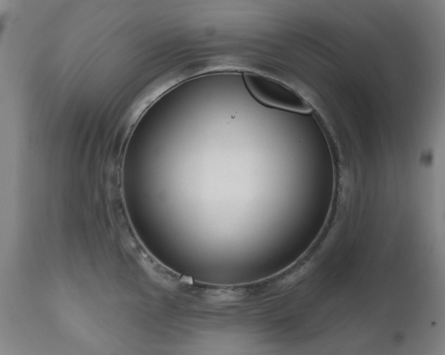 X0000112521145200908241438