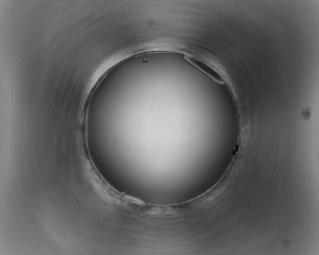 X0000112521146200908241438