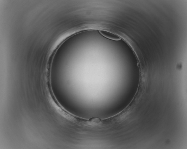 X0000112521147200908241438