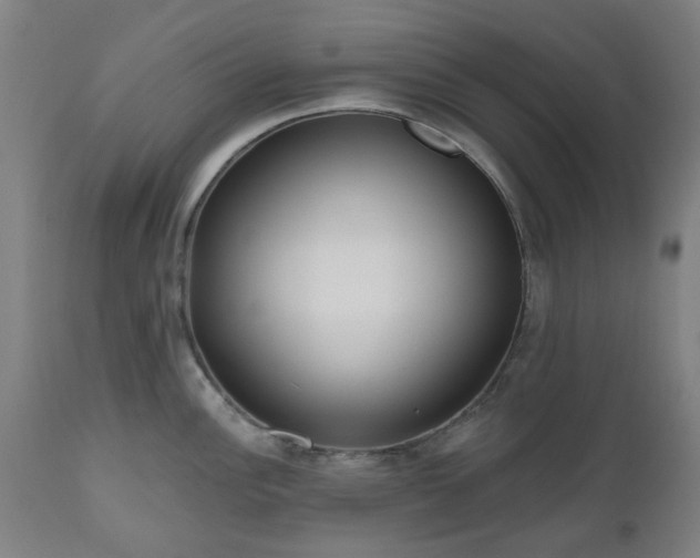 X0000112521148200908241438