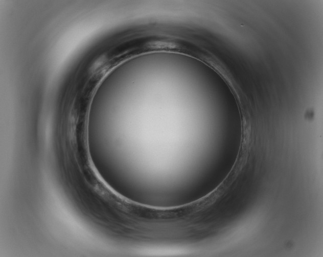 X0000112521151200908241438