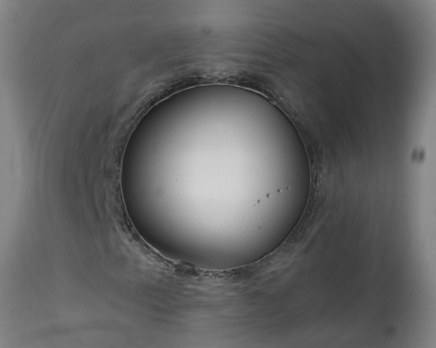 X0000112521153200908241437