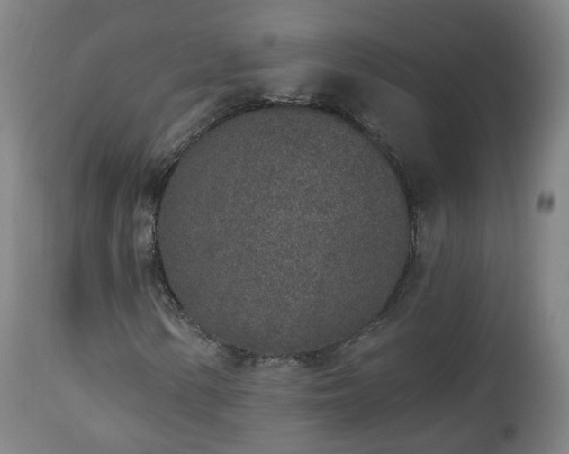 X0000112521154200908241437