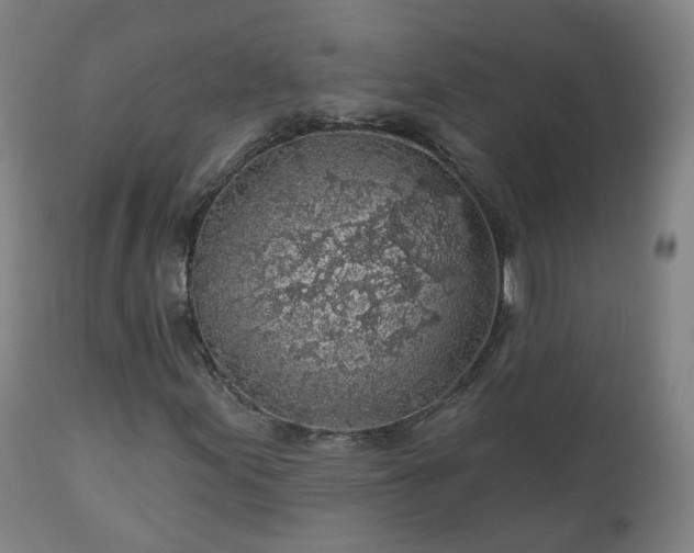 X0000112521155200908241437