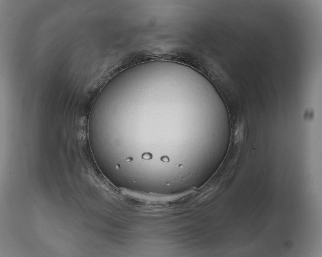 X0000112521156200908241437