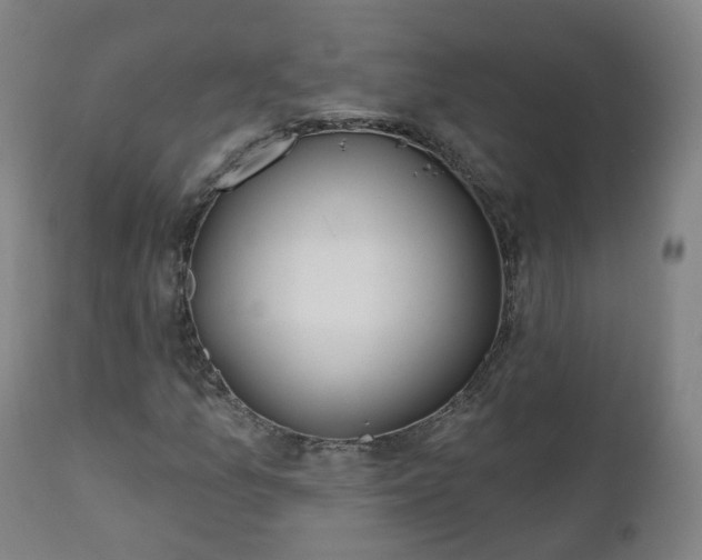 X0000112521157200908241437