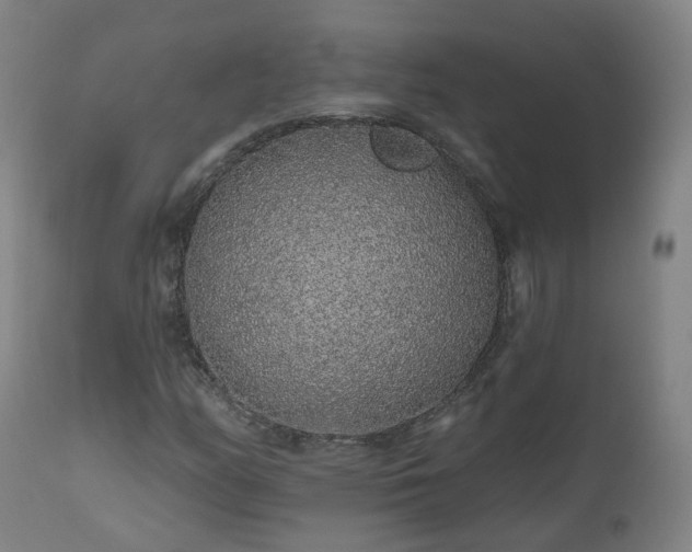 X0000112521158200908241437