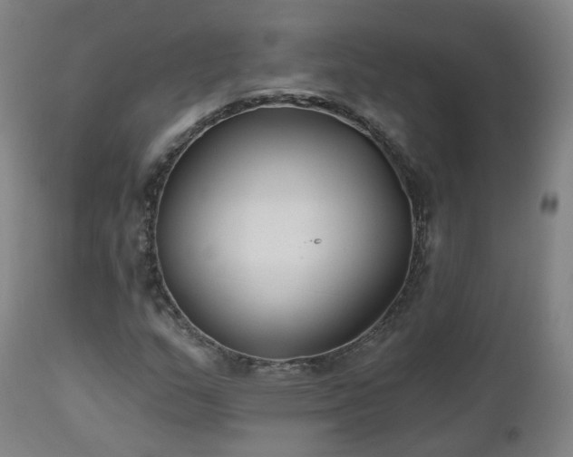 X0000112521159200908241437