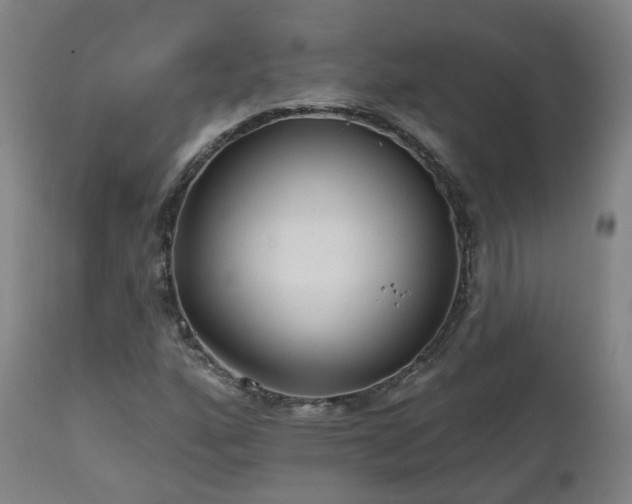 X0000112521160200908241437