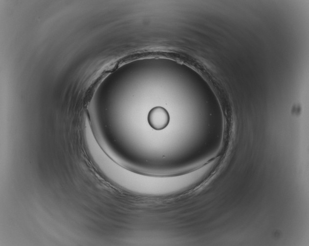 X0000112521161200908241437