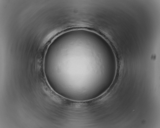 X0000112521163200908241437
