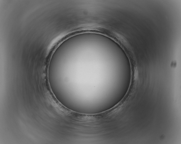 X0000112521164200908241437
