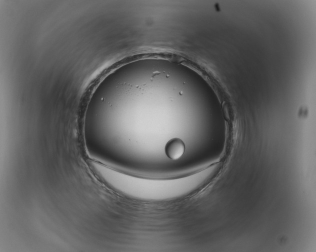 X0000112521165200908241437