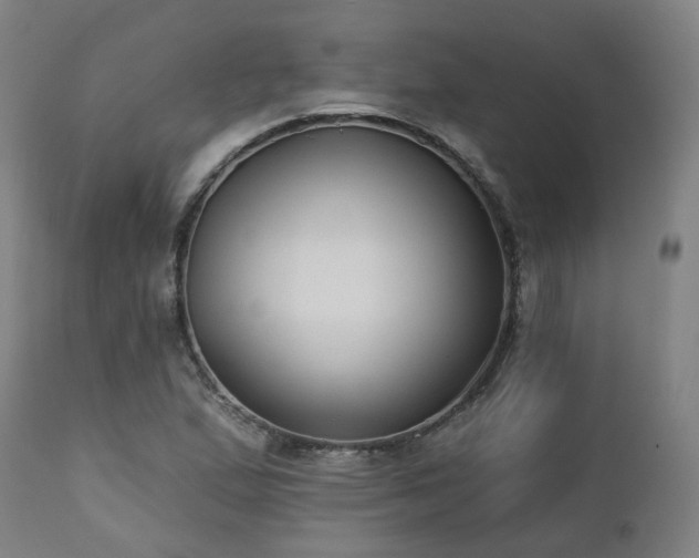 X0000112521167200908241437