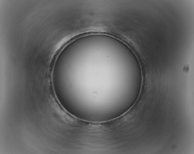X0000112521168200908241437