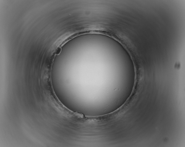 X0000112521169200908241437