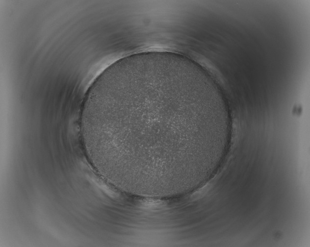 X0000112521170200908241437