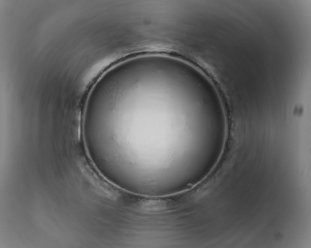 X0000112521171200908241437