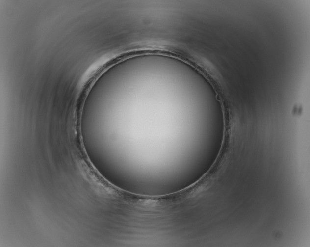 X0000112521172200908241437